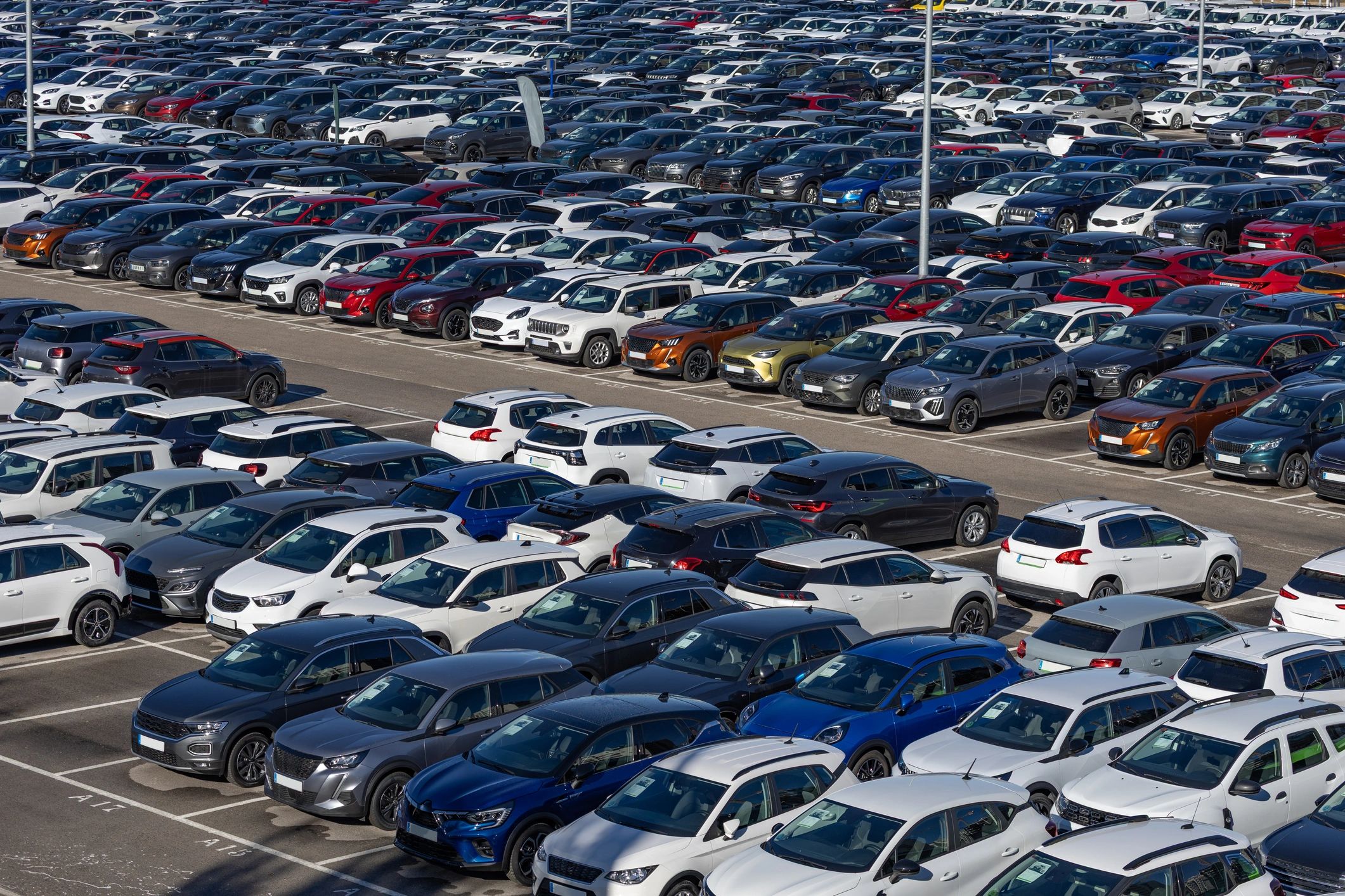 Rows of premium vehicles in parking area